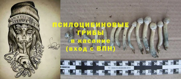 а пвп мука Бородино